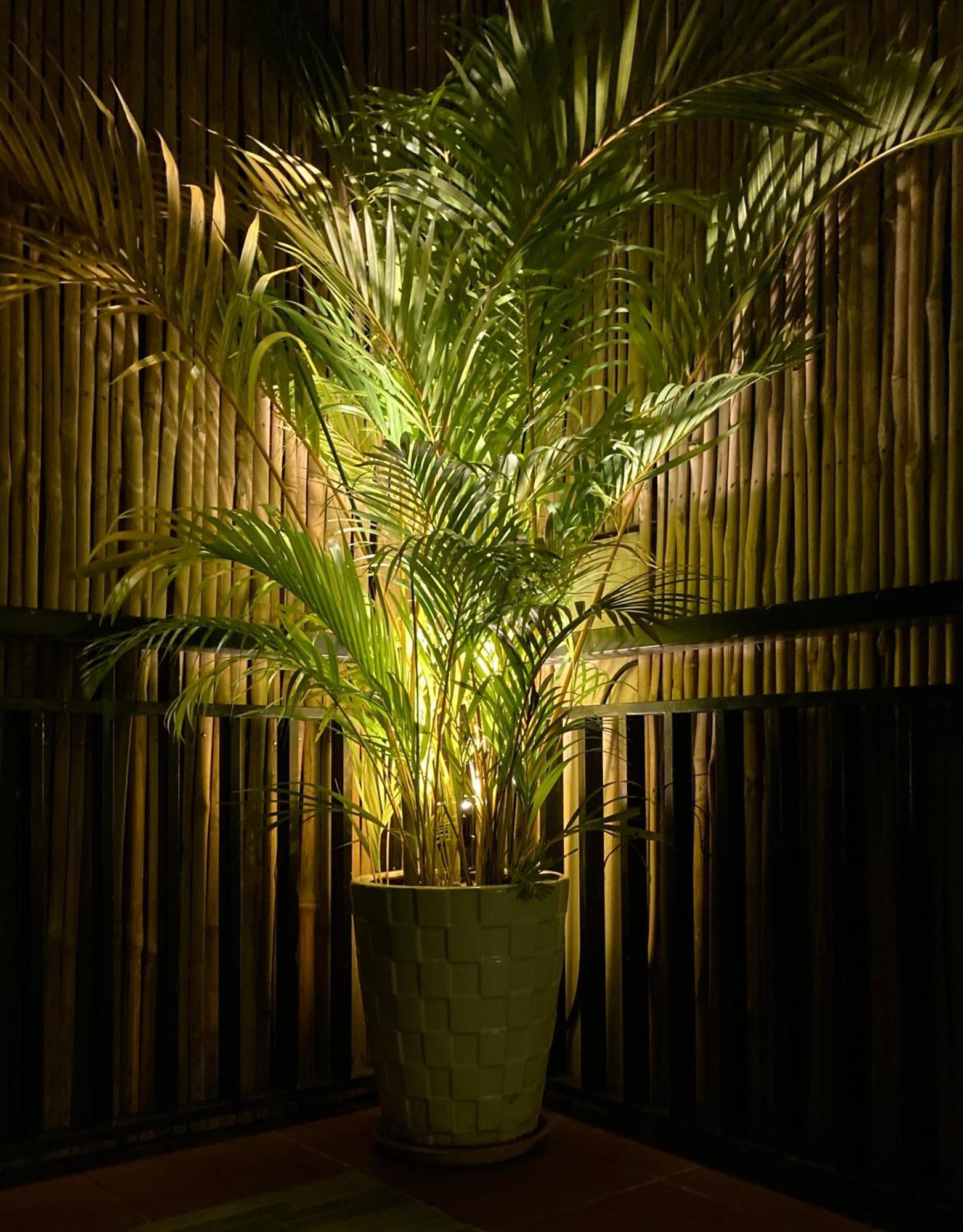 Lotus Haven Villa Siem Reap Eksteriør billede