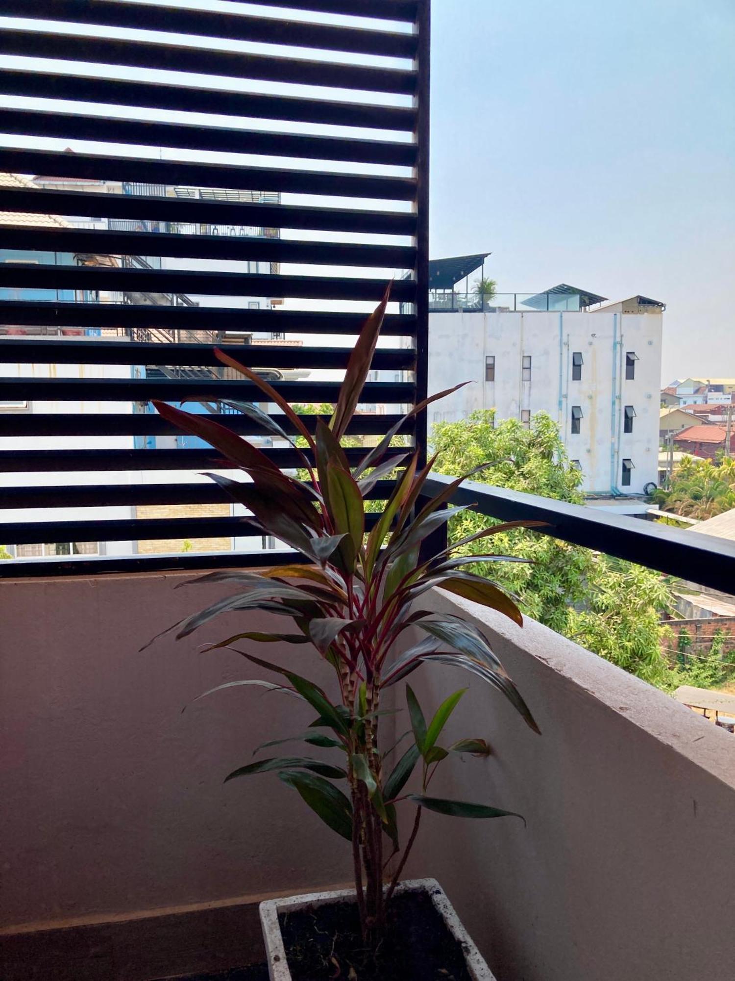 Lotus Haven Villa Siem Reap Eksteriør billede